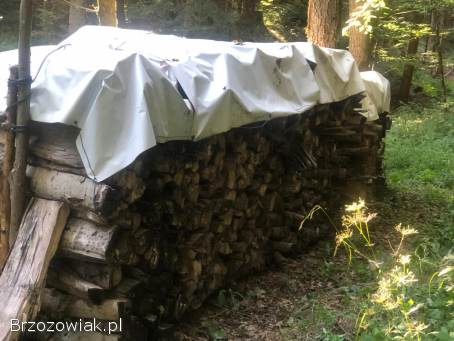 Drewno opałowe do kominka