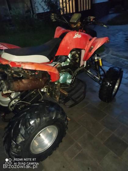 2010 bashan 250