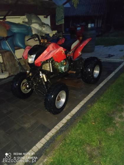 2010 bashan 250