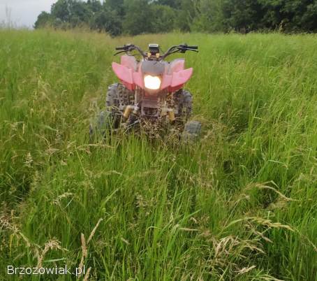 2010 bashan 250