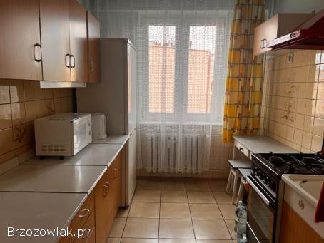 Pokoj 2-osobowy do wynajecia w Rzeszowie