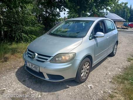 Volkswagen Golf Plus 1.  9TDI 105km 05 2005