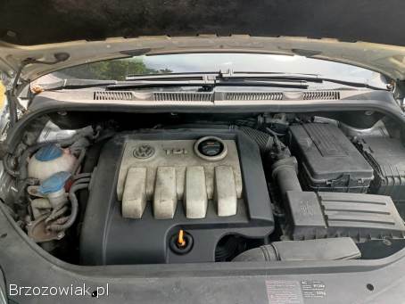 Volkswagen Golf Plus 1.  9TDI 105km 05 2005