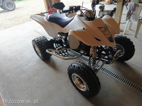 Suzuki LTZ 400 homologacja!