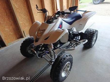 Suzuki LTZ 400 homologacja!