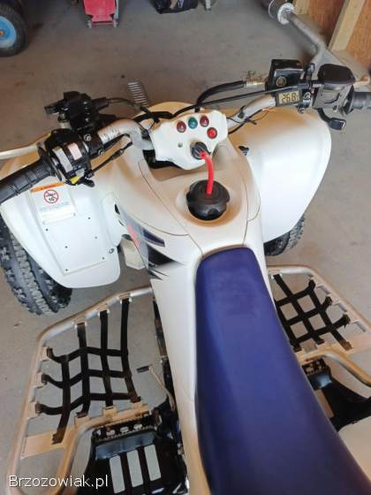 Suzuki LTZ 400 homologacja!