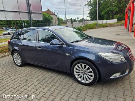 Opel Insignia 2.  0CDTI AUTOMAT 2010