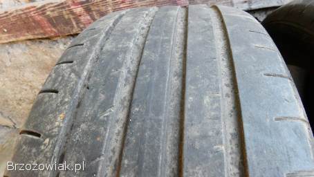 Opony Letnie Dębica Presto UHP2 225/50/17