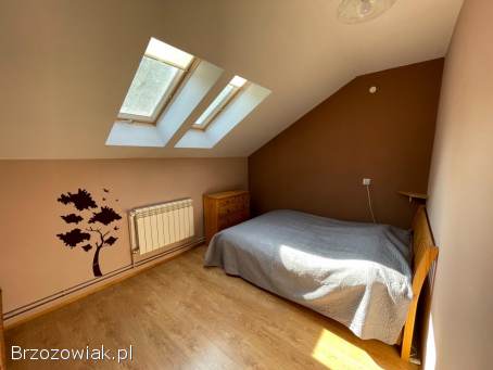 Dom z potencjałem w centrum Krosna