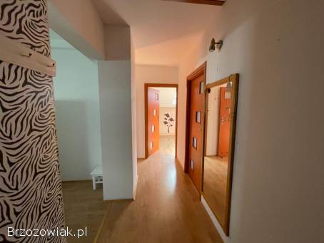 Dom z potencjałem w centrum Krosna