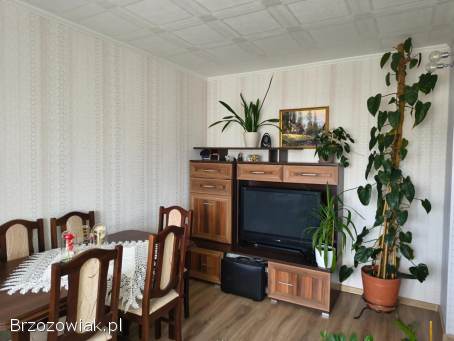 Mieszkanie w centrum Krosna -  w pełni umeblowane