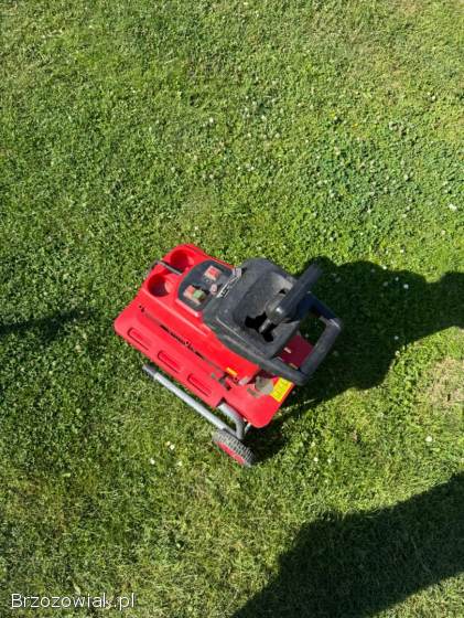 Rąbak do gałęzi elektryczny