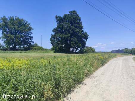 Sprzedam mieszkanie Równe gmina Dukla