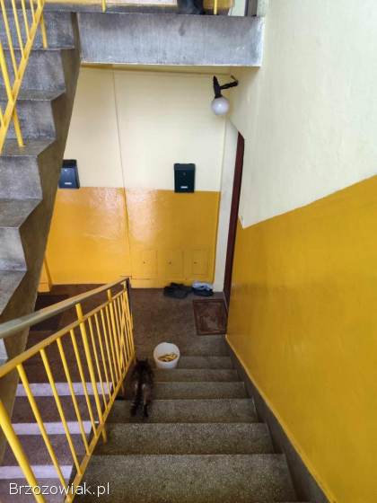 Sprzedam mieszkanie Równe gmina Dukla