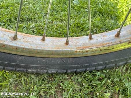 Rower 3 kołowy Tolek rehabilitacyjny