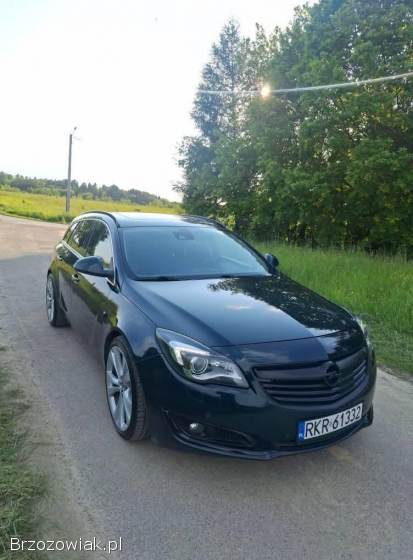 Opel Insignia Sports tourer 2013