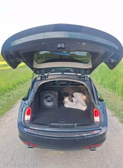 Opel Insignia Sports tourer 2013