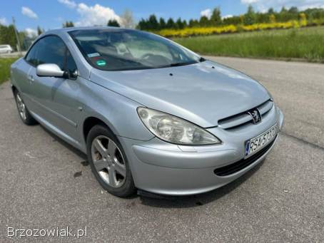 Peugeot 307 CC Kabriolet  2004