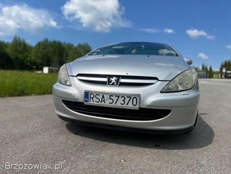 Peugeot 307 CC Kabriolet  2004