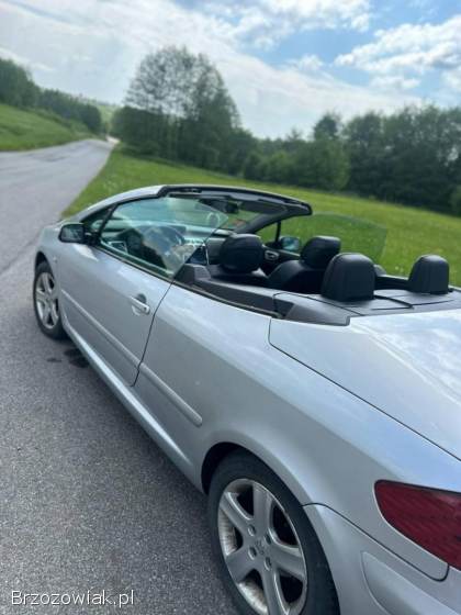 Peugeot 307 CC Kabriolet  2004