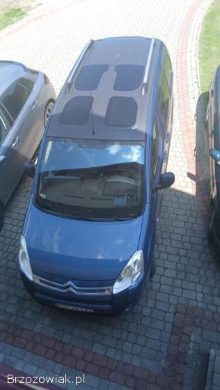 Citroën Berlingo MULTISPACE 2009