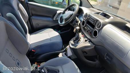 Citroën Berlingo MULTISPACE 2009