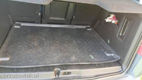 Citroën Berlingo MULTISPACE 2009