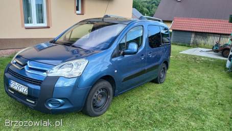 Citroën Berlingo MULTISPACE 2009