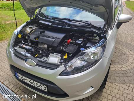 Ford Fiesta Mk7 2010