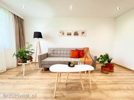 Mieszkanie po generalnym remoncie -  Krosno
