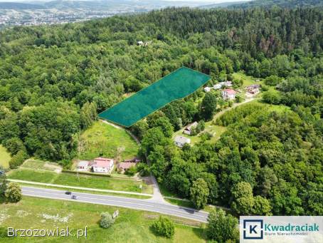 Działki w Krajowicach z WZ!