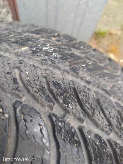 205/55/16 + felgi