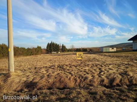 Działki w Strachocinie