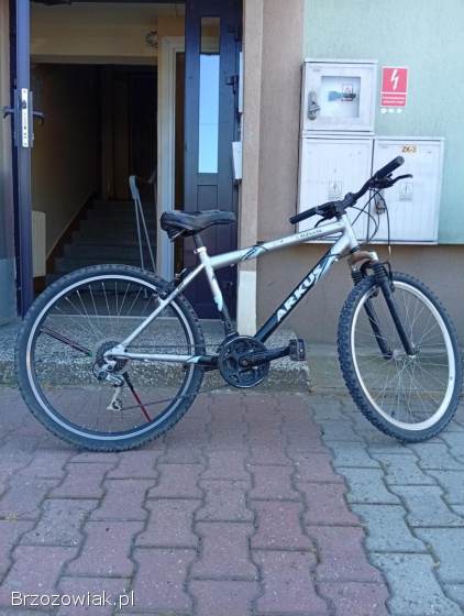 Rower Arkus Classic 26