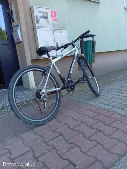 Rower Arkus Classic 26