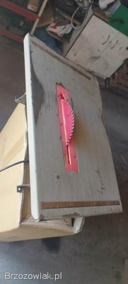 Piła stołowa,  Krajzega