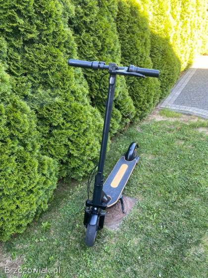 Hulajnoga elektryczna Manta