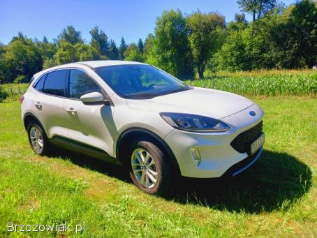 Ford Kuga 4x4 2020