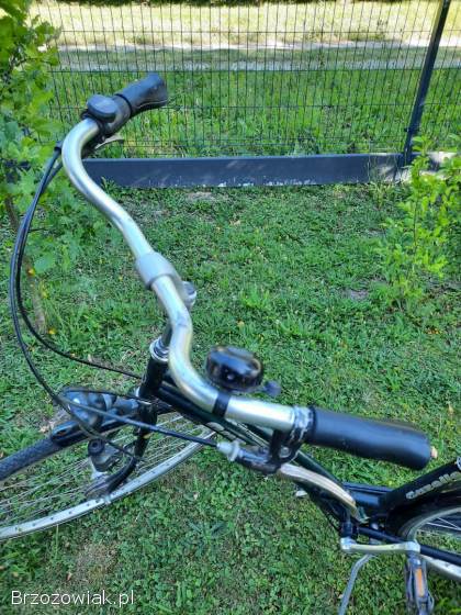 Rower damski Gazelle