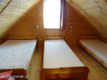 Domki w Bieszczadach,  Wolkowyja,  Olchowiec