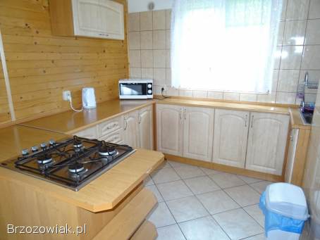 Domki w Bieszczadach,  Wolkowyja,  Olchowiec