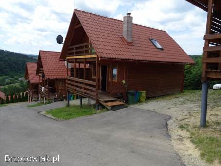 Domki w Bieszczadach,  Wolkowyja,  Olchowiec