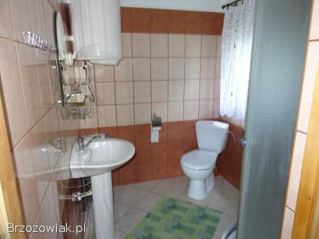 Domki w Bieszczadach,  Wolkowyja,  Olchowiec