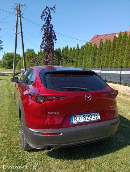 Mazda CX 30 2019