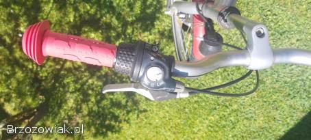 Rower dziecięcy BBF 20