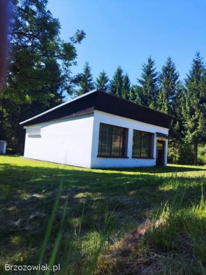 Dom budynek z działką Bieszczady