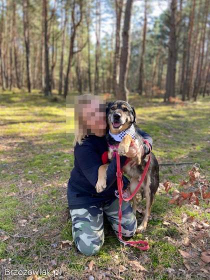 Borys -  kochana psia przylepa szuka domu!