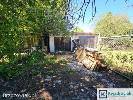 Mieszkanie z działką i garażem