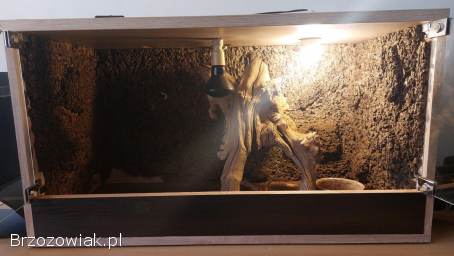 Terrarium dla gadów