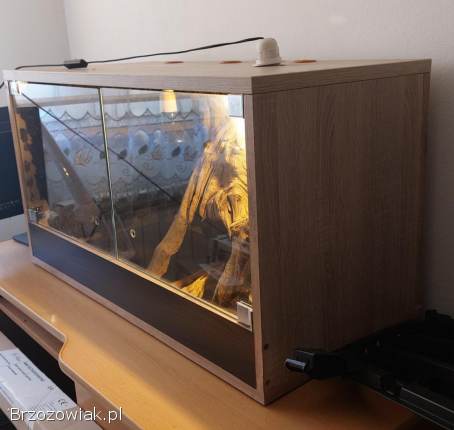 Terrarium dla gadów